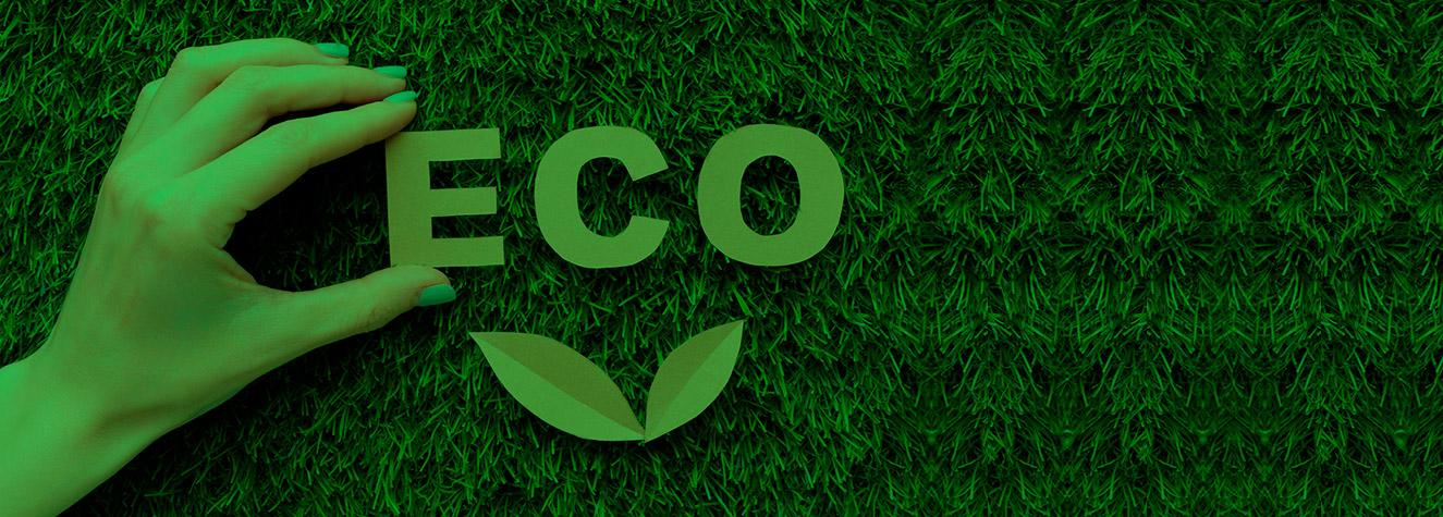 Medio ambiente